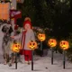 thumbnail image 4 of Luces solares para exteriores, luces decorativas de Halloween, luces de calabaza, impermeables, para montar en el suelo, para césped, jardín, patio, paisaje, 4 of 5
