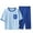 Blue, variant on Kids Girls' and Boys Clothes Summer 2-Piece Outfits Set Crew Neck Basic Tee And Elastic Waist Wide Leg Pants Set Size 1-16 Years