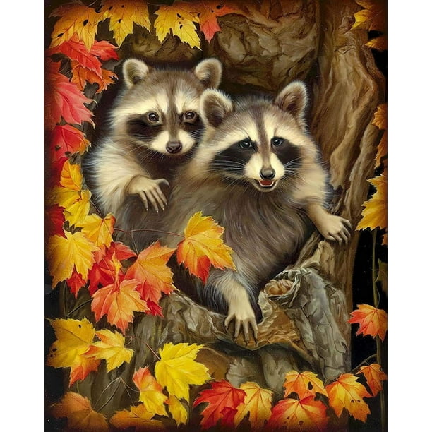 Yomiie 5D Diamond Painting Kits Raccoon Animal for Adult Kids Round ...