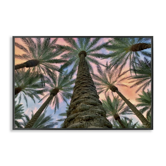 Stupell Industries Tall Overhead Palms Plants & Flowers Photography Black Framed Art Print Wall Art, 18 x 12