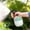 White#580, variant on High Pressure Plant Spray Bottle | 360° Rotating Nozzle | 2 Spray Modes Mist & Stream | 120g Portable Watering Can | 18x11x9cm | Professional Garden Tool | Multi-Purpose Sprayer for Plants & Cleaning