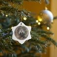 thumbnail image 7 of 3drose, Porcupine Walking in the Woods, 3 inch Snowflake Porcelain Ornament, 7 of 7