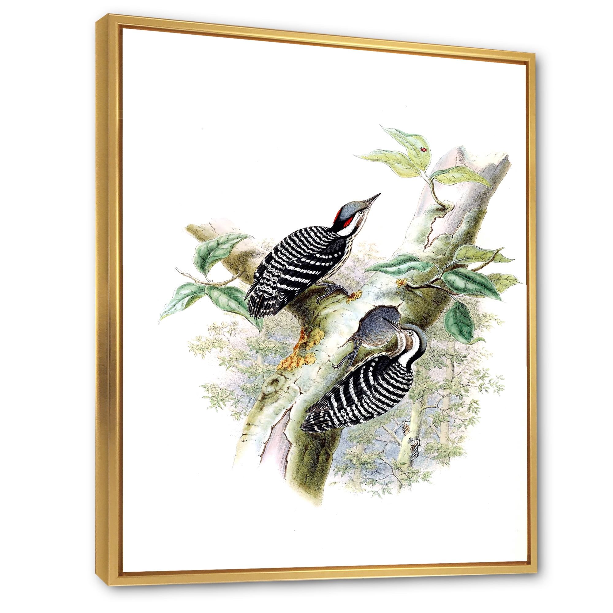 Ancient Birds In The Wild V 12 in x 20 in Framed Painting Canvas Art Print, by Designart