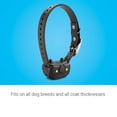 thumbnail image 2 of Garmin BarkLimiter Deluxe Dog Training Device, Black (010-01070-10), 2 of 6