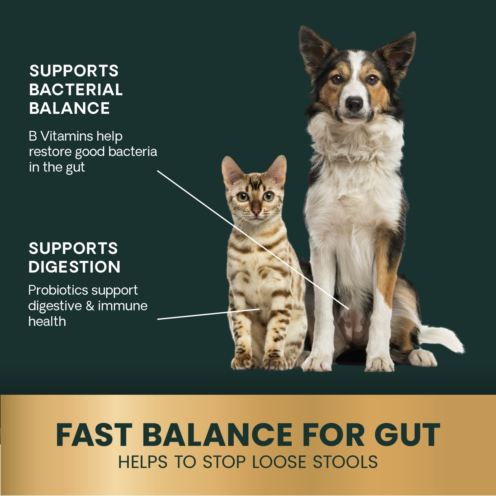 VetriScience Fast Balance G.I. Paste, Gut Health for Dogs & Cats, 1.18 fl oz Tube