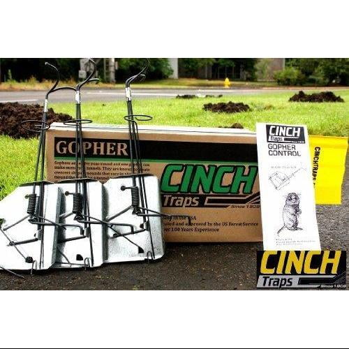 cinch traps cinch traps