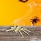 thumbnail image 4 of Decoraciones de Esqueleto de Serpiente y Araña para Halloween | Mini Esqueletos Articulados de Plástico | Decoración Ligera y Reutilizable para Fiestas de Halloween | Cementerio de Casas Embrujadas p, 4 of 5