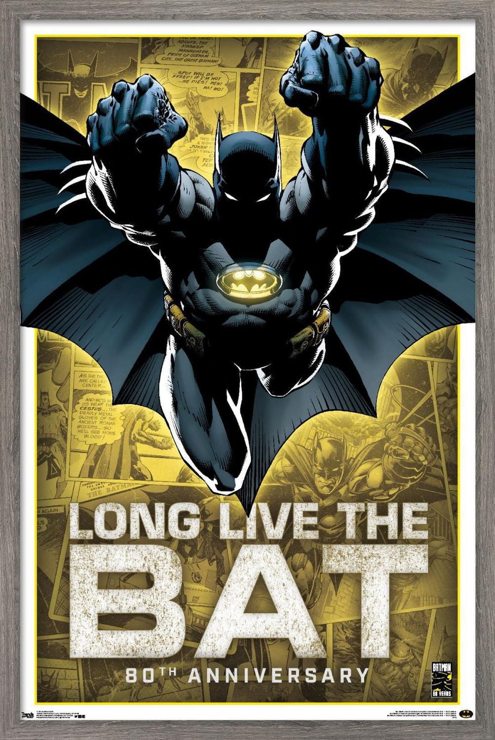 DC Comics - Batman - 80th Anniversary Wall Poster, 22.375" x 34"