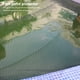 thumbnail image 3 of Billuyoard Patio trasero al aire libre, patio, natación, piscina, red, estanque de peces, cubierta de malla plegable antipájaros con clavijas de tierra, Jardín y Patio Billuyoard HA063003-00, 3 of 6