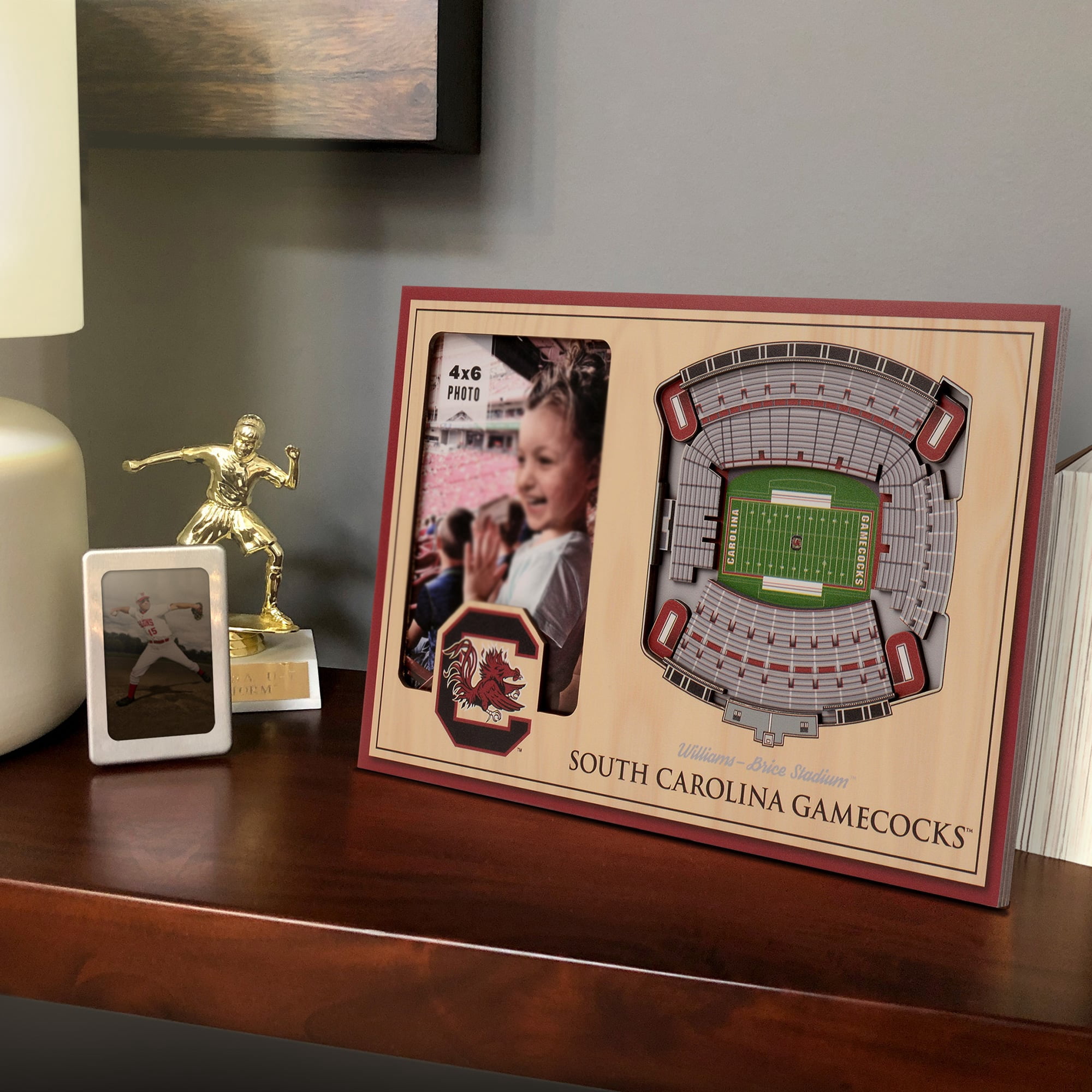 IDNA South Carolina Gamecocks 3D StadiumViews Picture Frame