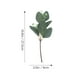 thumbnail image 2 of BESTYASH 10Ud Tall Eucalyptus Stems Artificiaales Decorativos Para Bodas Y Eventos Especiales, 2 of 7
