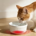 thumbnail image 2 of FEOLGEHLY Elevated Ceramic Pet Bowl, Constant Temperature Heating Slow Feed Water Bowl Non Slip Drinking Bowl, Indoor Warm Water Feeding Bowl for Indoor Cats Small Dogs, 2 of 6