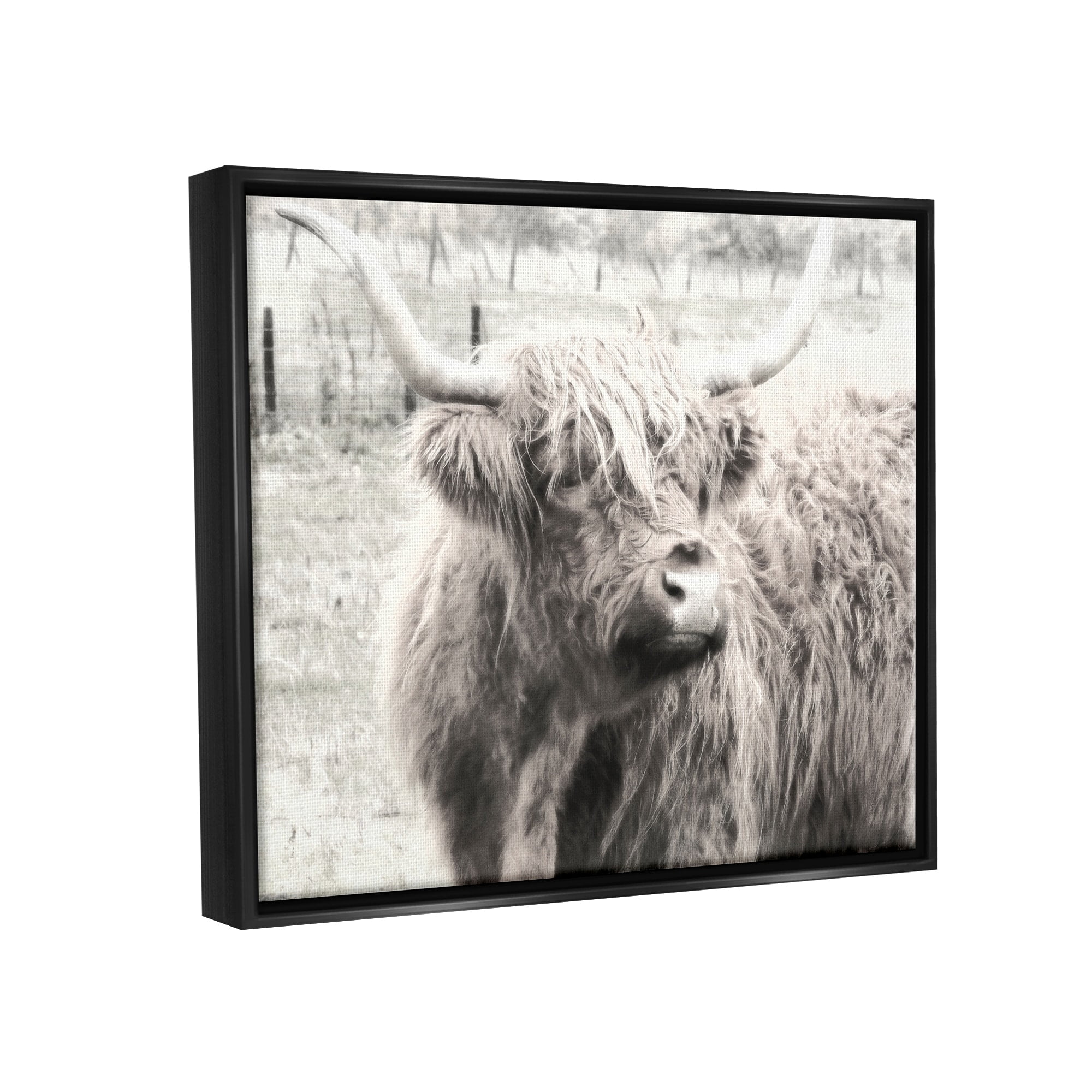 Stupell Industries Rustic Farm Highland Cattle Cow Monochrome Photography Photograph Jet Black Floating Framed Canvas Print Wall Art, Design by Graffitee Studios