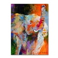 thumbnail image 2 of Richard Wallich 'Art Elephant' Canvas Art, 2 of 3