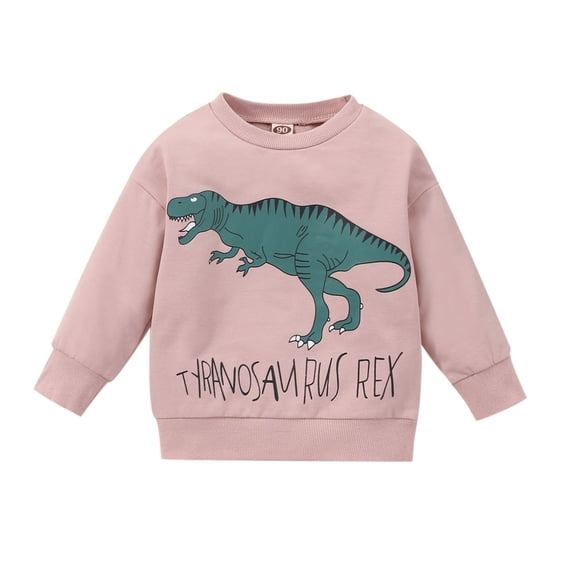 Mercatoo Toddler Baby Girls Sweatshirts Crewneck Hoodies Long Sleeve Dinosaur Prints Shirts Kids Fall Winter Pullover Tops