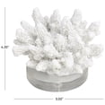 thumbnail image 3 of 6" x 4" White Polystone Small Textured Coral Sculpture with Clear Acrylic Base, by DecMode, 3 of 9