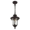 thumbnail image 3 of Livex Lighting Oxford Outdoor Chain Hang in Bronze, 3 of 10