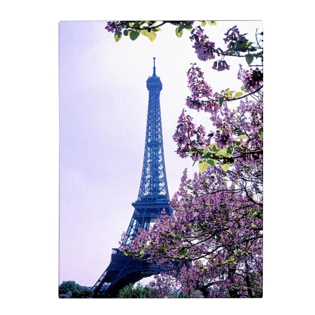 Trademark Fine Art 'Eiffel Tower with Blossoms' Canvas Art by Kathy Yates
