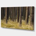 thumbnail image 2 of Dark Fall Forest with Green Grass - Modern Forest Canvas Art, 2 of 3