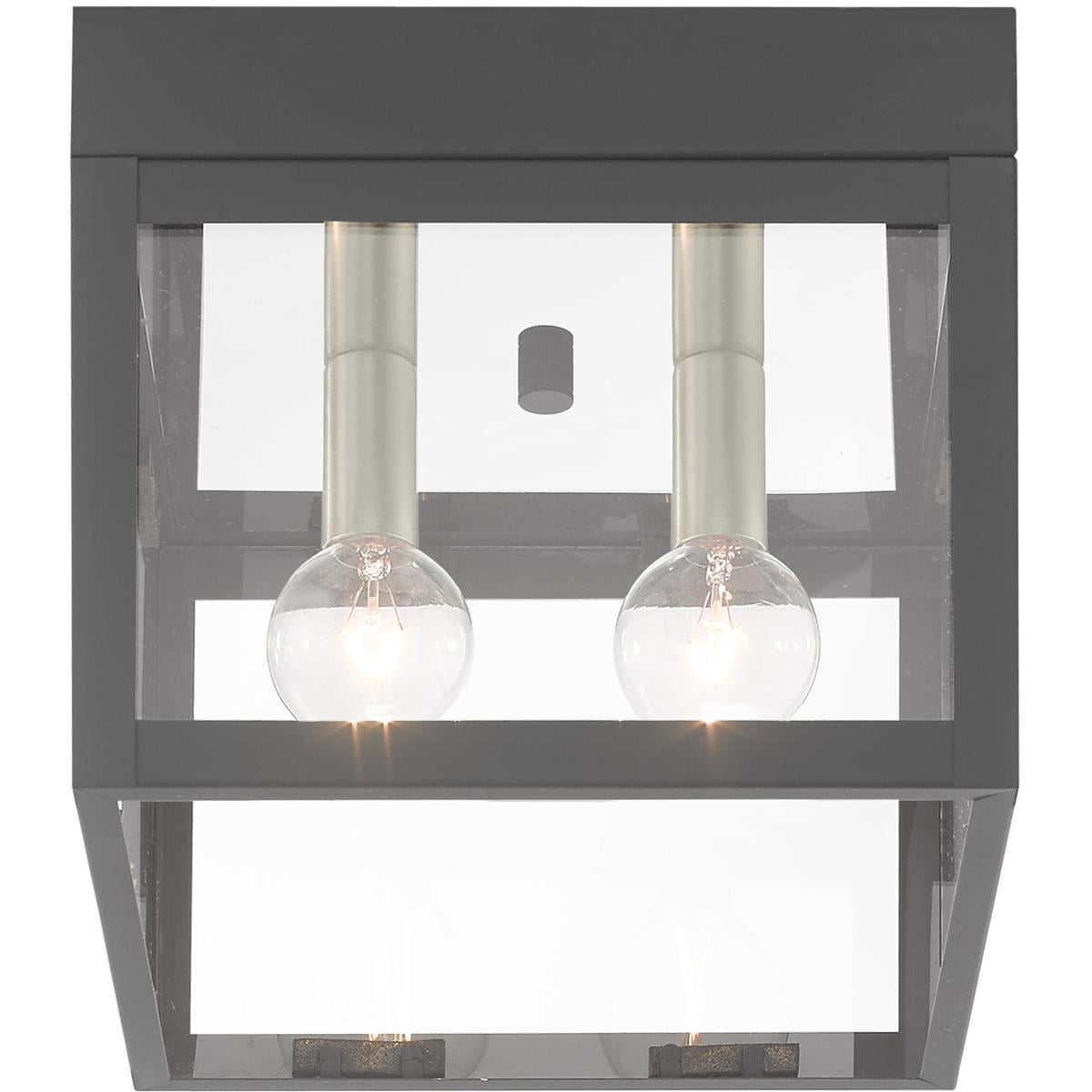 8 inch 2 Light Scandinavian Gray Outdoor Ceiling Light fixture with Clear Glass Shade