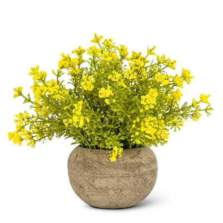 Set of 2 Small Flowering Plant Pot