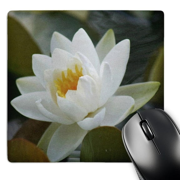3dRose, White Water Lilly, MousePad