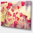 thumbnail image 2 of Poppy Flowers on Light Background - Floral Canvas Art Print, 2 of 3