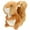 As Shown, variant on 1pc Cartoon Squirrel Toy Soft Plush Doll Stuffed Decoration for Home Shop Sofa Arrangement Creative Gift