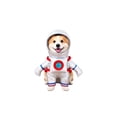 thumbnail image 2 of Halloween Pet Astronaut Costume, 1Pcs Pet Space‑themed Apparel, Unique Standing Transformation Design, Excellent Holiday Party Accessory, Suitable For Daily Walking And Photo Shooting,L, 2 of 7