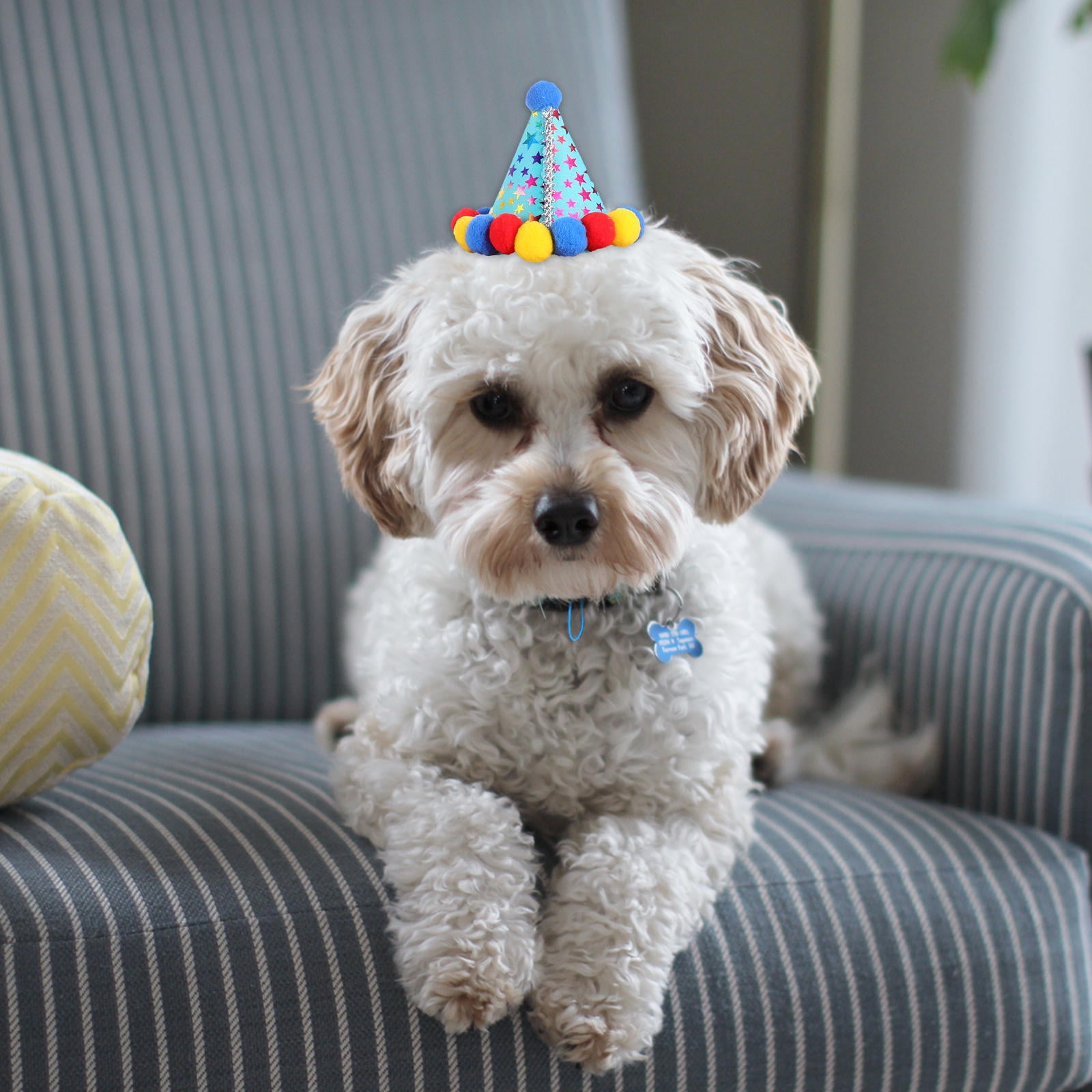 WEUVEB Pet Birthday Hat and Scarf Set for Dogs Perfect Home Dog Birthday Party Decoration Accessories