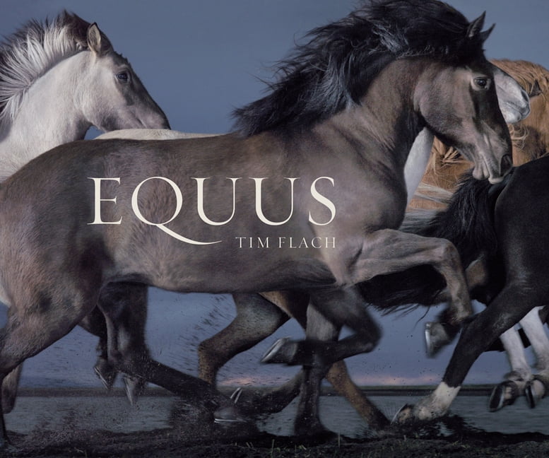 Equus (Mini) (Hardcover) - Walmart.com