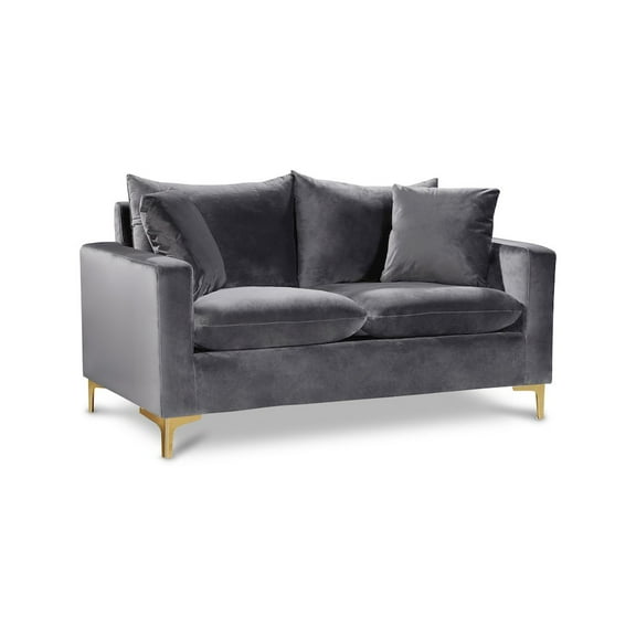 Meridian Furniture Naomi Contemporary Velvet Loveseat in Gray