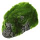 thumbnail image 5 of Vivid Turtle Basking Platform Decorative Turtle Ramp Accessory (Random Style), 5 of 5