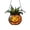 F#3, variant on Halloween Stained-Glass Style Pumpkin Suncatcher Ornament, 7.8in 2D Double Sided Acrylic Window Hanging Decor, Spooky Halloween Door Wall Ornament