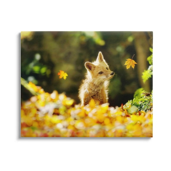 Stupell Industries Fox Watching Autumn Leaves Photograph Gallery Wrapped Canvas Print Wall Art, Design by Carrie Ann Grippo-Pike