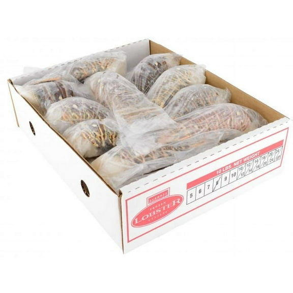 Frozen Seafood Warm Water Lobster Tail, 10 Pound -- 1 Each.
