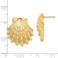 thumbnail image 3 of Auriga Fine Jewelry 14K Yellow Gold Lion's Paw Shell Stud Earrings for Women, 3 of 5