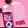 2X Sparkling Ice Grape Raspberry Flavored Sparkling Bottled Water
