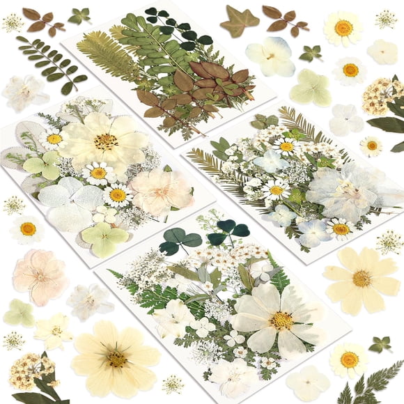 Kit de 100 piezas para manualidades naturales prensadas con flores secas