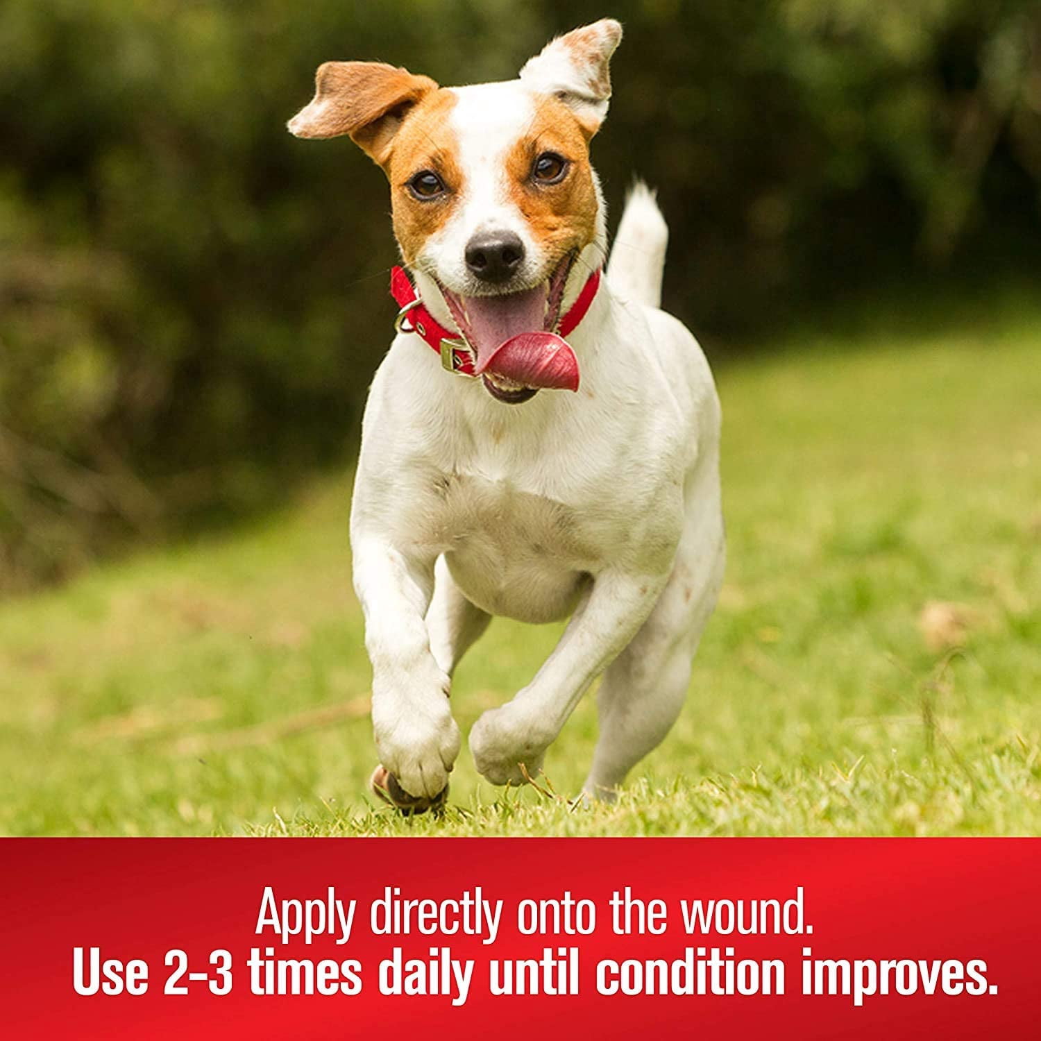 Sulfodene Dog Wound Care Ointment, Relieves Pain & Prevents Infection For Dog Cuts, Scrapes, Bites and Injuries, 2 Ounce