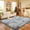 gray, variant on Tuzlier 4x6 Black Area Rugs for Living Room, Tie Dye Soft Fluffy Bedside Rug for Bedroom Kids Room Home Decor