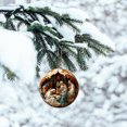 thumbnail image 3 of Dopebox Christmas Nativity Scene Ornaments, Christmas Acrylic 3D Hanging Ornament Pendant for Xmas Tree Birth of Jesus Christian Decor Religious Gift, Christmas The Nativity Day Pendant (M), 3 of 7