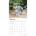 thumbnail image 3 of Browntrout, Miniature Schnauzers 2024 Wall Calendar, 3 of 8