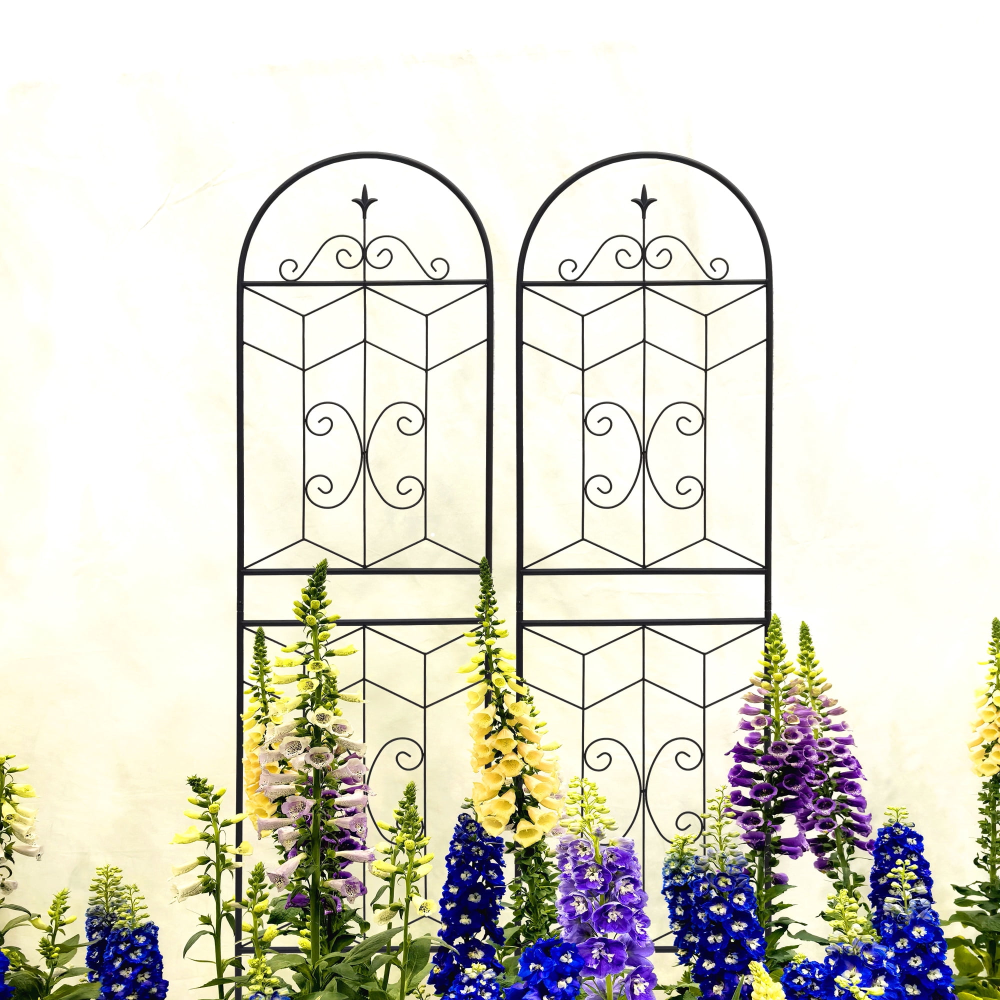 Olurrisa Rustproof Iron Trellis Kit (4 Pack) - 71" x 19.7" Expandable Plant Grids for Grapes, Beans & Vertical Gardening, Easy Assemble Powder Coated