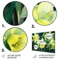 thumbnail image 3 of Designart "Nature s Impression of Daffodils in Yellow and Green II" Daffodils Metal Wall Art, 3 of 5