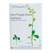 Wisconsin Fast Plants Non-Purple Stem, Hairless Seed (Anthocyaninless, Hairless), Pack Of 50