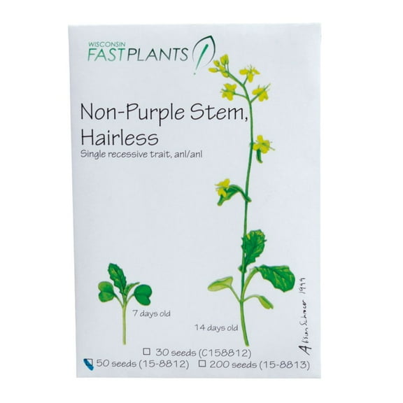 Wisconsin Fast Plants Non-Purple Stem, Hairless Seed (Anthocyaninless, Hairless), Pack Of 50