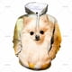 thumbnail image 3 of Sudadera con capucha de perro Pomerania con estampado 3D para hombre y mujer, sudadera con capucha con gráficos de animales, sudaderas de manga larga a la moda, ropa para niños, 3 of 5