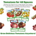 thumbnail image 4 of Epic Gardening Tomato Lovers Seed Bundle, 5 Juicy Varieties, Includes Brandywine, Chadwick Cherry & Tropical Sunset, Grow Non-GMO Tomatoes for Meals, 4 of 6