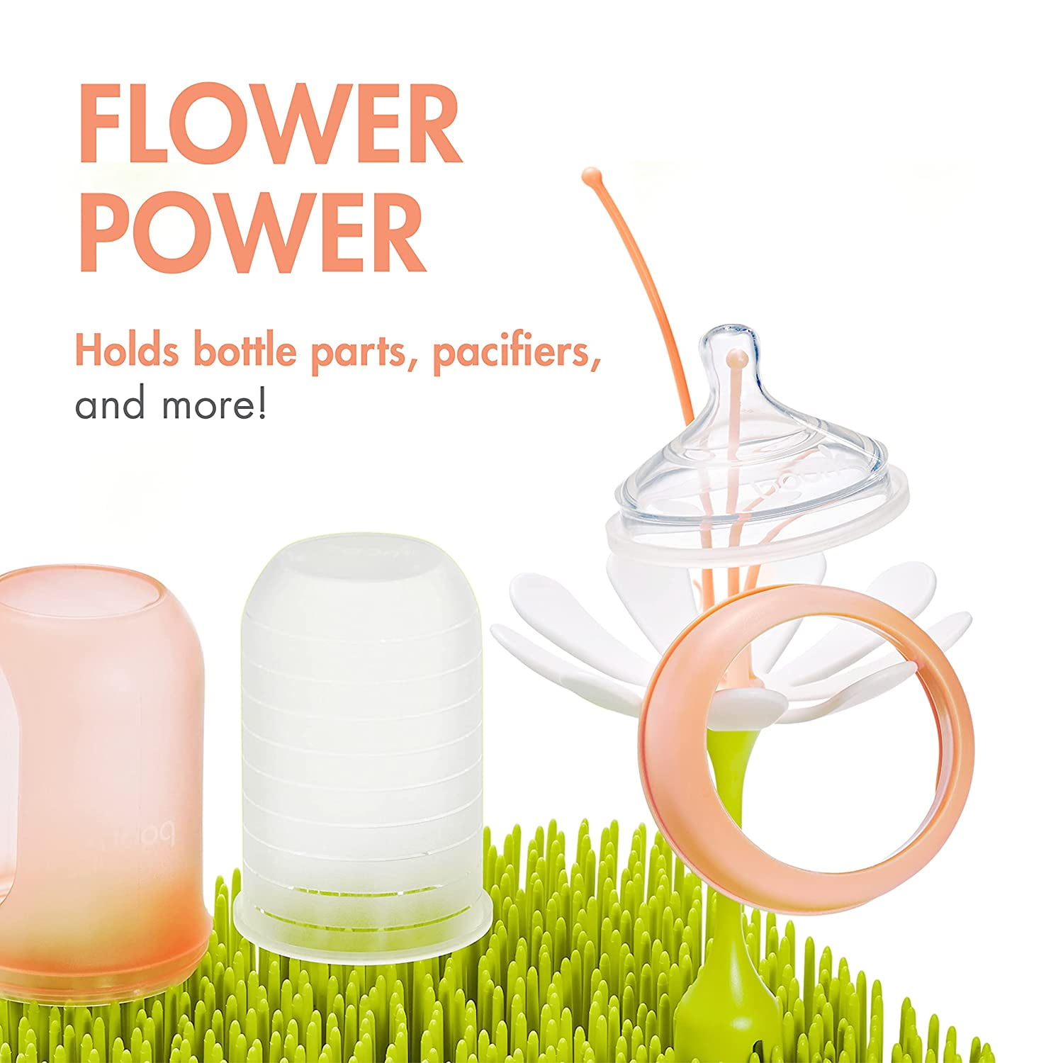 Boon grass bottle drying rack with stem bundle new arrivals